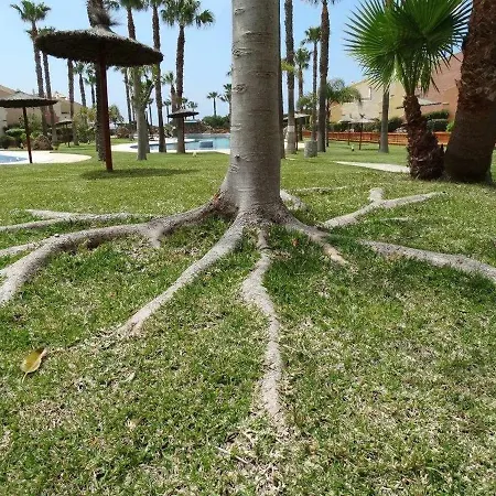 Apartamento En Jardines De Zahara F4a